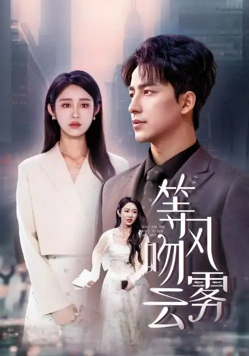 孤战电视剧海报
